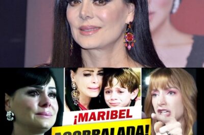 !EXCLUSIVO, Juez Emite 0RD3N Contra Maribel Guardia: ¿Deberá Entregar Al N1ET0 O Irá A La C4RC3L?