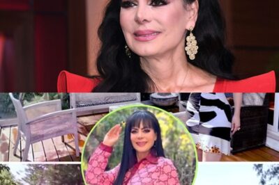 !EXCLUSIVO, ¡Maribel Guardia en la mira! El oscuro secreto encontrado en su casa sacude a México? Lo que parecía una simple inspección en la casa de Maribel Guardia terminó en un hallazgo que nadie esperaba