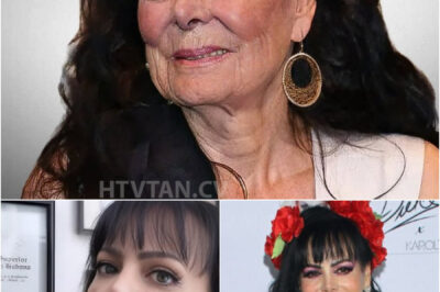 ¿Qué confesó Maribel Guardia a los 65 años que confirma todas las especulaciones de sus seguidores?