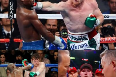 “FLOYD SIEMPRE ELIGE A SU OPONENTE, NUNCA SE ATREVERÁ A PELEAR CONMIGO AHORA MISMO” ¡Canelo Álvarez pelea abiertamente y afirma que puede derrotar a Floyd Mayweather en 5 rounds!