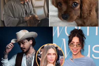 Una declaración inesperada de Ángela Aguilar sobre Christian Nodal y las mascotas desata controversia: su comentario reaviva los rumores sobre el presunto maltrato a un perrito de Belinda. Las redes sociales explotan con opiniones divididas, mientras la polémica vuelve a poner en el centro de atención la relación entre los famosos y sus mascotas.