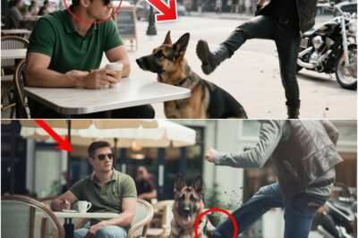 Un motociclista patea al pastor alemán de un hombre ciego como broma, sin saber que el perro es un K9