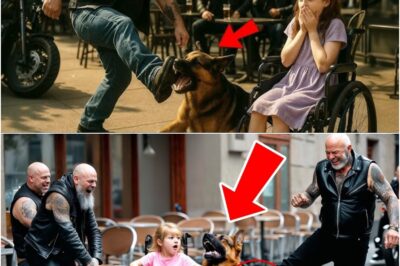 Un motociclista patea a un perro como broma… No sabía que era un K9 asignado para proteger a esa niña.