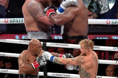 El nieto secreto de Muhammad Ali: ¿Cómo Mike Tyson arruinó su anonimato en el boxeo? Durante años, Nico Ali Walsh peleó en las sombras, ocultando el apellido más legendario del boxeo. Todo cambió por un inesperado error de Mike Tyson, que reveló su verdadera identidad ante el mundo. Descubre la increíble historia detrás de este escándalo y cómo Nico lucha ahora por su propio legado.