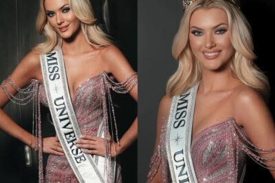 El secreto mejor guardado de Miss Universe Latina: el poder oculto de Aníbal Marrero Detrás de cada espectáculo deslumbrante en Miss Universe Latina está la mente creativa de Aníbal Marrero, esposo de Alejandra Espinoza. Descubre cómo su talento y sacrificio familiar transforman el show, el reconocimiento que ha recibido y por qué su papel es clave para el éxito del reality. ¡No imaginas todo lo que ocurre tras bambalinas!