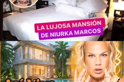 Niurka Marcos revela los secretos y excentricidades de su lujosa mansión en CDMX Descubre cómo la polémica vedette cubana transforma su casa en un palacio lleno de glamour, rarezas y lujo fuera de lo común. Desde una piscina inflable hasta un vestidor con más de mil pares de zapatos, Niurka abre las puertas de su extravagante hogar y muestra detalles nunca antes vistos. ¡No te pierdas el video exclusivo al final del artículo!