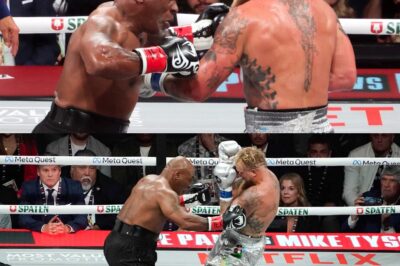 Mike Tyson y Jake Paul pelean por millones: ¿Quién ganó la fortuna de la noche? La pelea más esperada del año no solo fue un espectáculo deportivo, sino también un negocio millonario. Descubre cuánto dinero ganaron realmente Tyson y Paul, los secretos detrás de los contratos y cómo este combate está cambiando el mundo del boxeo. ¡No te pierdas los detalles que nadie se atreve a contar!