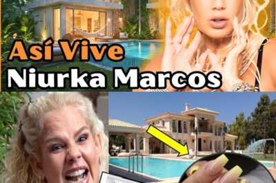 Niurka Marcos exhibe los lujos y secretos ocultos de su excéntrica mansión en CDMX ¿Te imaginas una casa con más de mil pares de zapatos y una piscina inflable en la sala? Niurka Marcos abre las puertas de su increíble mansión y revela detalles jamás vistos, desde rarezas extravagantes hasta lujos impensables. Descubre en exclusiva cómo vive la vedette más polémica de México y no te pierdas el video revelador al final del artículo.