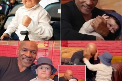 El pasado oscuro de Mike Tyson lo persigue: La sorprendente decisión que cambió su vida y la de su hijo: Mike Tyson, el legendario campeón de boxeo, revela cómo los fantasmas de su infancia lo llevaron a tomar una decisión inesperada junto a su hijo. Descubre el emotivo proyecto que promete transformar el futuro de jóvenes en Los Ángeles y la verdad detrás de su búsqueda de redención.