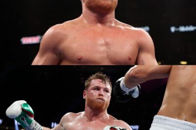 ¡Bombazo! Canelo Álvarez insinúa dejar el boxeo para brillar en WWE pronto 🔥🤼‍♂️ Canelo sorprendió a todos al hablar de un posible salto a la lucha libre profesional, justo antes de su épica pelea contra Terence Crawford. ¿Será este el nuevo capítulo que cambiará su carrera para siempre? Descubre los detalles detrás de esta revelación que está sacudiendo el mundo del deporte. ¡No te lo puedes perder! 🎬🥊