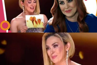 Aracely Arámbula rompe en llanto en Miss Universo Latina al recordar a su padre 😭🌹 En pleno especial del Día del Padre, la actriz no pudo contener las lágrimas al hablar de su papá fallecido. Sus palabras conmovieron a millones y se volvieron virales. ¿Qué dijo exactamente Aracely que hizo llorar a todos? 🌟📺 ¡Mira el momento más emotivo del certamen!