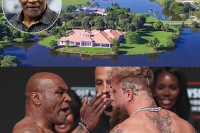 Jake Paul derrota a Tyson y gasta su fortuna en un rancho gigante lleno de lujos 🦌💰🏡 ¡Increíble pero cierto! Jake Paul, el YouTuber convertido en boxeador, no solo venció a Mike Tyson, sino que ahora presume un rancho de más de 2 mil hectáreas con caballos, lagos y hasta venados. ¿Cómo gastó sus 40 millones de dólares? Te contamos todos los detalles de la compra más alocada del año y cómo planea entrenar ahí para su próxima pelea. 😱🔥