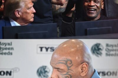 🌿 ¡Mike Tyson suplica a Trump! Exige justicia por marihuana con atletas legendarios 💥 Mike Tyson noquea el silencio político y lanza una petición directa a Donald Trump: eliminar la marihuana de la lista de drogas más peligrosas. ¡Una carta firmada por estrellas como Kevin Durant y Allen Iverson podría cambiar el juego para siempre! ¿Podrá Iron Mike hacer lo que Biden no logró? 🥊🔥