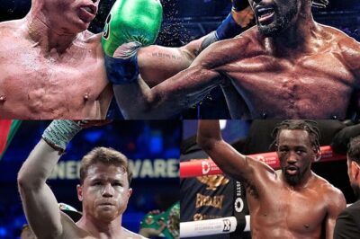 ¡Terence Crawford reta a Canelo Álvarez y busca hacer historia jamás vista en el boxeo!: El invicto Terence Crawford se prepara para el mayor desafío de su carrera: enfrentar a Canelo Álvarez y convertirse en el primer hombre en lograr tres títulos indiscutidos en diferentes divisiones. Descubre por qué este combate podría cambiar la historia del boxeo y las impactantes declaraciones de Crawford antes del esperado duelo.