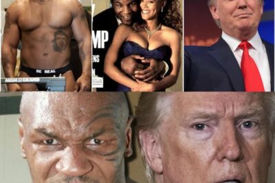 Mike Tyson encara a Trump en su oficina: “¿Tú estás acostándote con mi esposa?” En un enfrentamiento explosivo de los ochenta, el campeón mundial Mike Tyson entró furioso al despacho de Donald Trump en Manhattan para confrontarlo por rumores de infidelidad con su esposa Robin Givens. ¡El magnate se quedó sin palabras! Lee lo que ocurrió en este tenso momento que sacudió al círculo íntimo de ambos.
