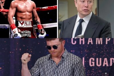 ¡Canelo rechaza 10M USD de Tesla y hace explotar la red! En un acto épico de orgullo nacional, el campeón mexicano Canelo Alvarez le dijo NO a Elon Musk y a un mega contrato por 10 millones. “Jamás promoveré autos de una marca que se enriquece del racismo anti‑mexicano”, afirmó. Esta postura incendiaria ha encendido redes y desató un fuerte debate: ¿hasta dónde llega su lealtad a México? 🔥👀
