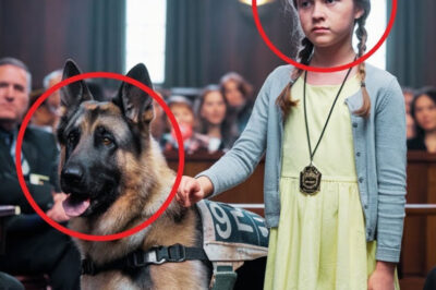 Una niña se pone de pie en el tribunal para salvar a su perro policía y lo que dijo el juez sorprendió a todos.