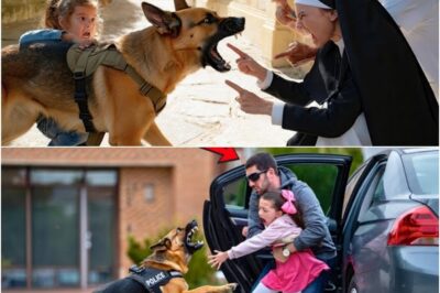 Un perro K9 salva a una niña secuestrada de una monja falsa y descubre una peligrosa red de tráfico de personas.