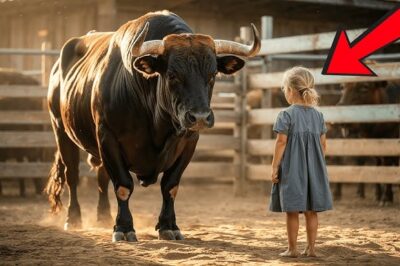 Nadie Domaba al Toro Feroz: Hasta que Niña de 4 Años se Acercó y Ocurrió un Milagro de Amor./th
