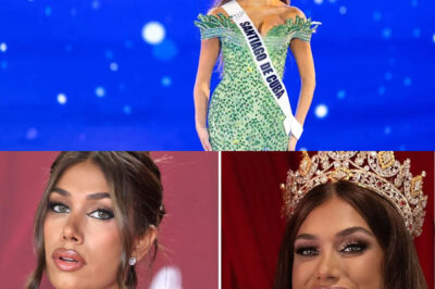 Lina Luaces en el ojo del huracán: la acusan de abusar de filtros y temen por Miss Universo