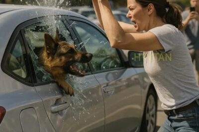 Rompí la ventana del auto de un extraño para salvar a un perro, y luego sucedió algo completamente inesperado