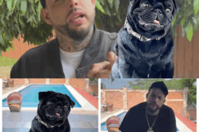 Emiliano Aguilar se burla de su familia tras borrar la foto donde lo comparan con un perro