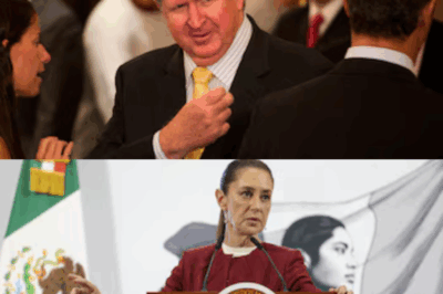 La fortuna millonaria del segundo hombre más rico de México tras el ascenso de Sheinbaum