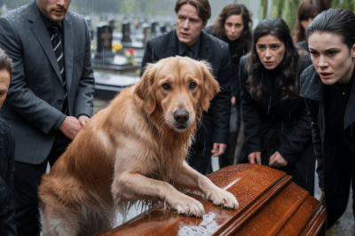 El impactante funeral: el perro de mi padre evitó que lo enterráramos vivo