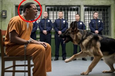 Desde el Corredor de la Muerte hasta la Libertad: El Perro que Olfateó la Verdad…