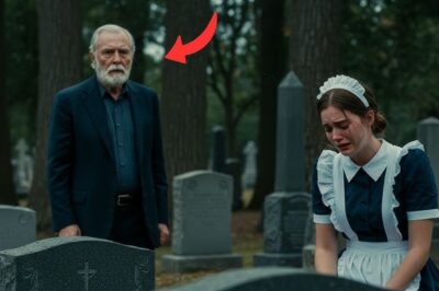 Millonario Ve a una Camarera Llorar en la Tumba de Su Esposa — Luego Sucede lo Inimaginable/th