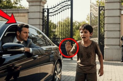 ¡No Conduzcas! ¡Tu Esposa Cortó Los Frenos! — Dijo Un Niño Sin Hogar Al Millonario… Y Entonces Pasó/th