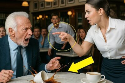 Todos le temían al millonario… hasta que la nueva mesera lo dejó en ridículo/th