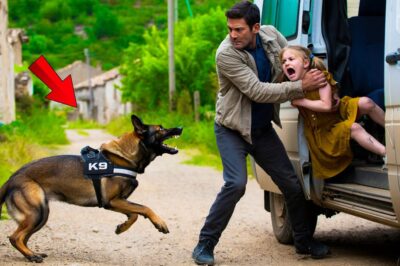 Viejo Perro K9 Salva A Chica De Un Secuestrador — Su Ladrido Reveló Un Secreto Escalofriante/th