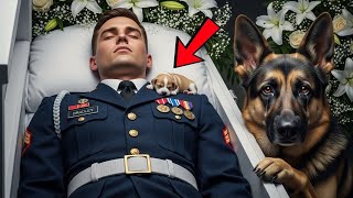 Por qué el perro ladraba frente al ataúd—¡Ocurrió un milagro que nadie imaginaba!./th
