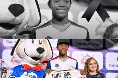“Tragedia en el béisbol: ¿Qué pasó realmente con Gustavo Talmaré?” “La muerte del joven prospecto dominicano Gustavo Talmaré, de solo 14 años, sacude al mundo deportivo. ¿Qué llevó al prometedor jardinero a la Laguna del Toro? Sus padres exigen respuestas mientras la Policía Nacional y la academia revelan detalles impactantes. ¡Descubre las incógnitas detrás de esta tragedia que conmociona al béisbol juvenil!”