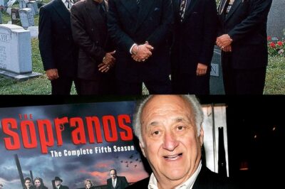💔 Murió Jerry Adler: El alma sabia de Los Sopranos apaga su luz 🎭🕯️ Con 96 años, Jerry Adler partió en silencio, dejando atrás un legado inmortal en la TV. Su papel como Hesh Rabkin en Los Sopranos marcó a generaciones y hoy el mundo del entretenimiento despide a uno de sus grandes íconos. 📺 ¿Cómo vivió sus últimos días? Descúbrelo en este homenaje lleno de nostalgia y verdad.