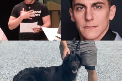 💔 Tragedia en Virginia: Actor Adam Turck Asesinado Mientras Intentaba Salvar a una Mujer 🔥 La valentía del actor le costó la vida. Descubre los desgarradores detalles de cómo Adam Turck, una promesa del teatro, perdió la vida tras intentar intervenir en una disputa doméstica mientras paseaba a su perro. Su familia honra su legado con un conmovedor gesto. 🕊️