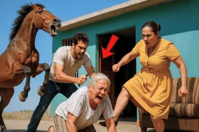 Su hija la golpeó por vieja… pero Dios usó a un caballo para hacer justicia divina