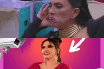 El impactante sueldo semanal de Dalílah Polanco en La Casa de Los Famosos 3
