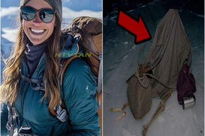 Turista Desapareció en Alaska — 7 Años Después Hallada bajo Hielo con Piedras Atadas a los Pies…