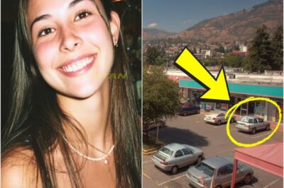 Estudiante desapareció en 2009 en una tienda – 3 días después, su operadora reveló algo impactante…..