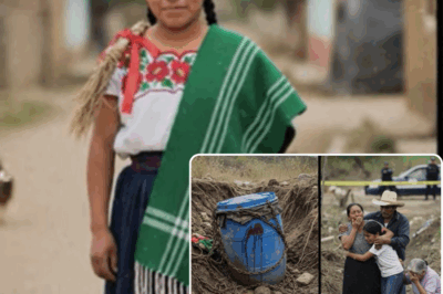 “¡MISTERIO! Campesina de Oaxaca Desaparece en Hierve el Agua: 18 Meses Después, Revelaciones Asombrosas”