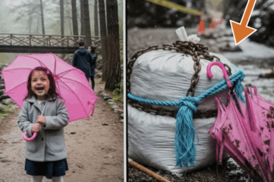¡MISTERIO IMPACTANTE: Niña de 4 Años Desaparece en Valle de Bravo, 10 Años Después…!