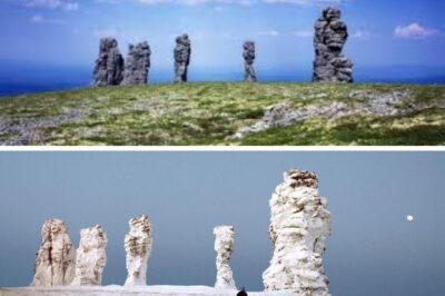 Los antiguos gigantes de Komi no serían meras formaciones rocosas, sino posibles restos petrificados de seres colosales que habitaron la Tierra mucho antes de que comenzara la historia registrada