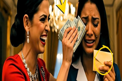 ME ROBÓ EL SUELDO COMO PATRONA… Y CUANDO TODO SE VINO ABAJO, ME SUPLICÓ PERDÓN