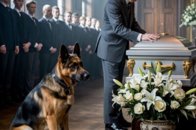 En el funeral de mi padre, su perro no paraba de ladrarle al ataúd. Pensé que solo estaba de luto hasta que algo me hizo levantar la tapa. Dicen que los perros pueden sentir lo que nosotros no. Nunca lo creí. Hasta el día que casi enterramos vivo a mi padre.