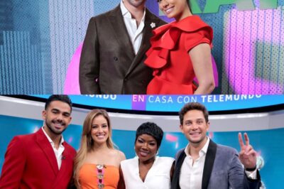 Telemundo rompe el silencio sobre la difícil situación de Aleyda Ortiz y su esposo