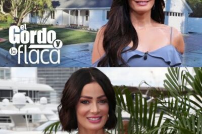 Así fue la entrada triunfal de Dayanara Torres a su nueva casa! Telemundo