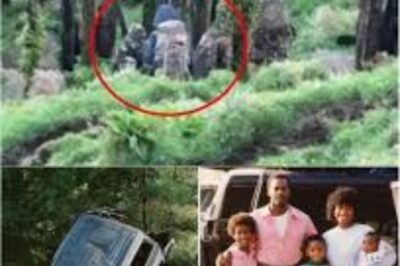 Una familia negra desapareció durante un viaje por carretera en 1982. Veinte años después, encontraron algo en el bosque…