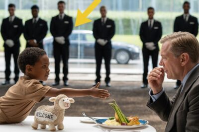 Un niño sin hogar grita: “¡NO COMAS ESO!”… ¡El multimillonario se congela cuando descubre por qué!